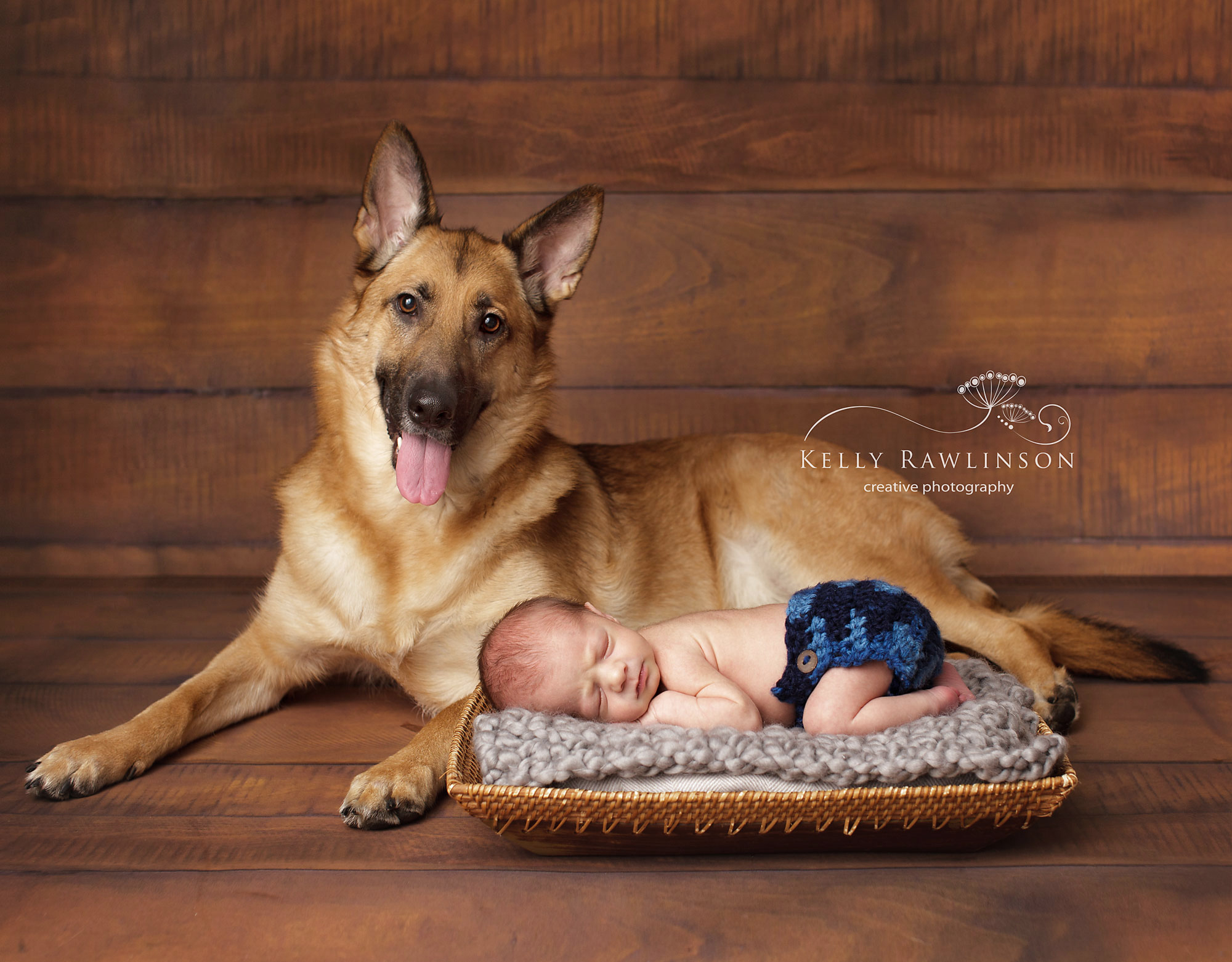 newborn and pet portraits bradford sutton keswick