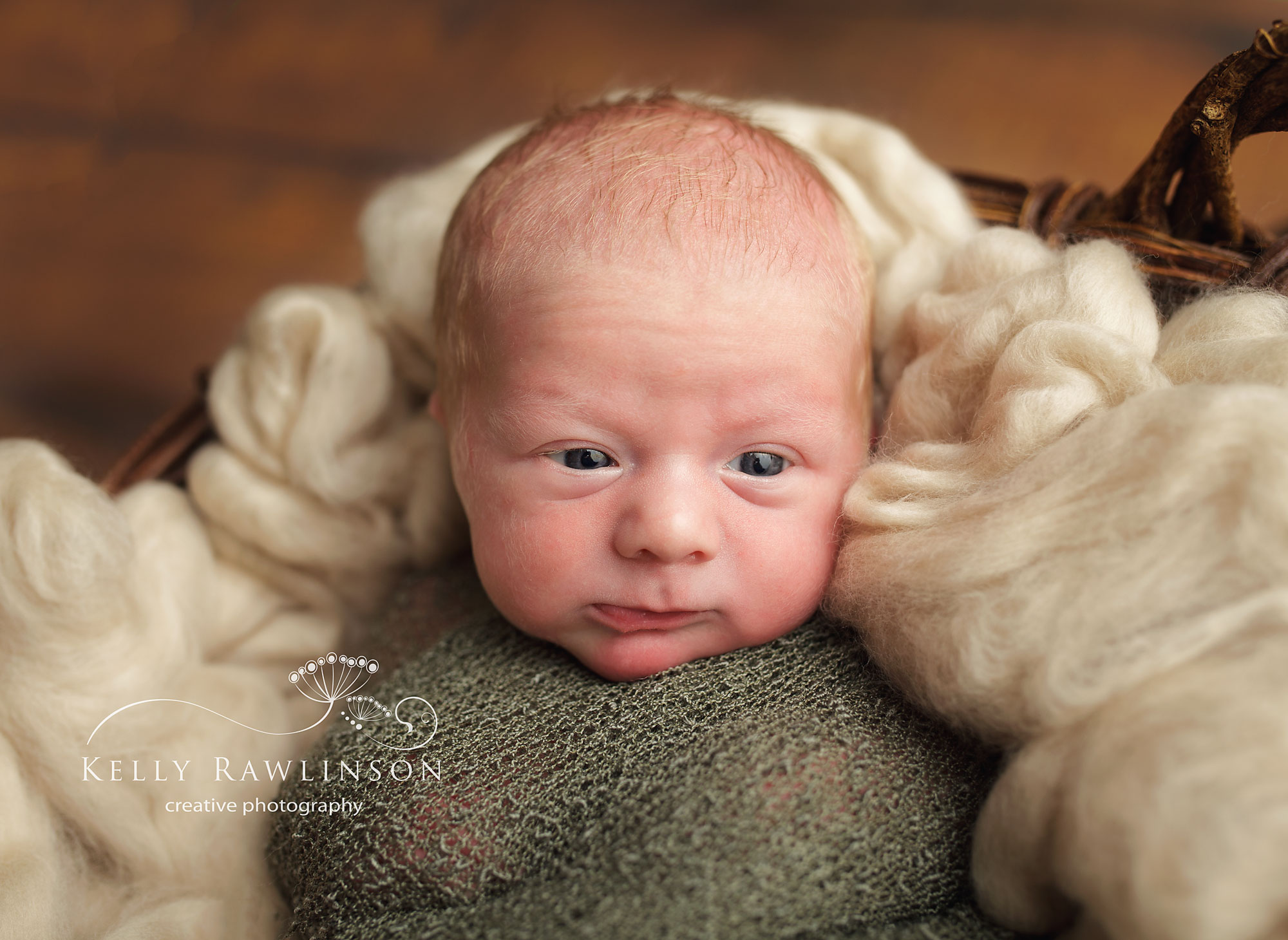 Best newborn photographer in area