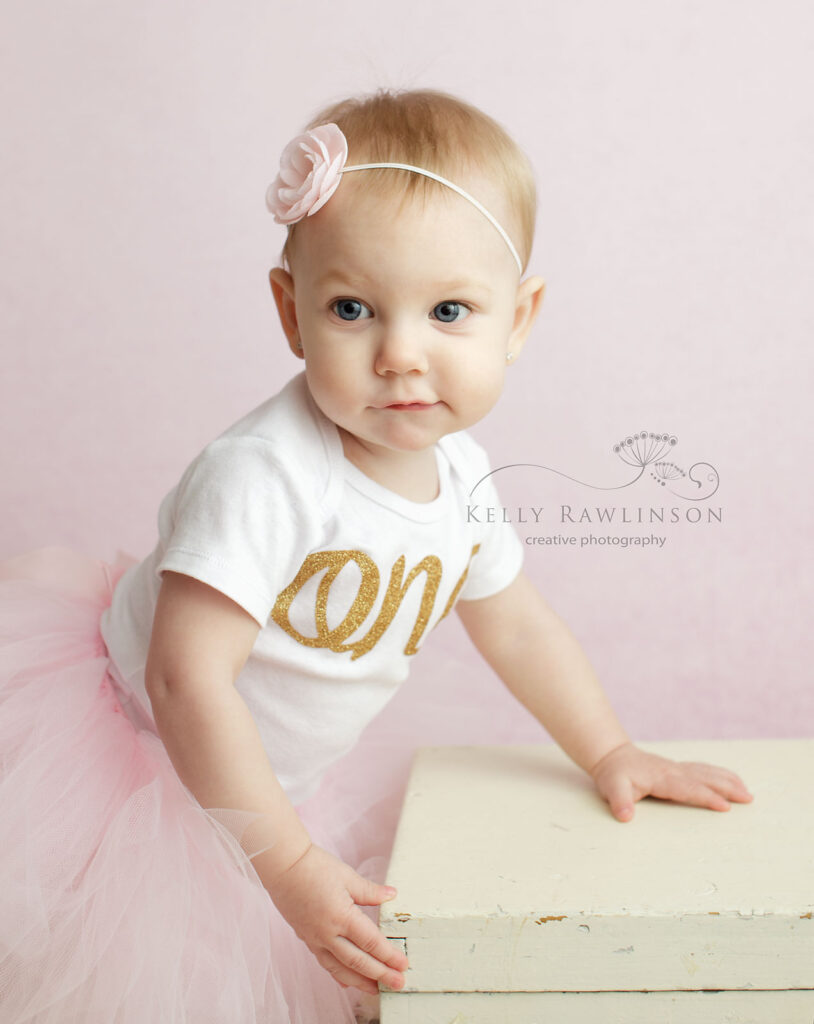 First birthday photoshoot, One shirt, gold and pink baby's first birthday pictures