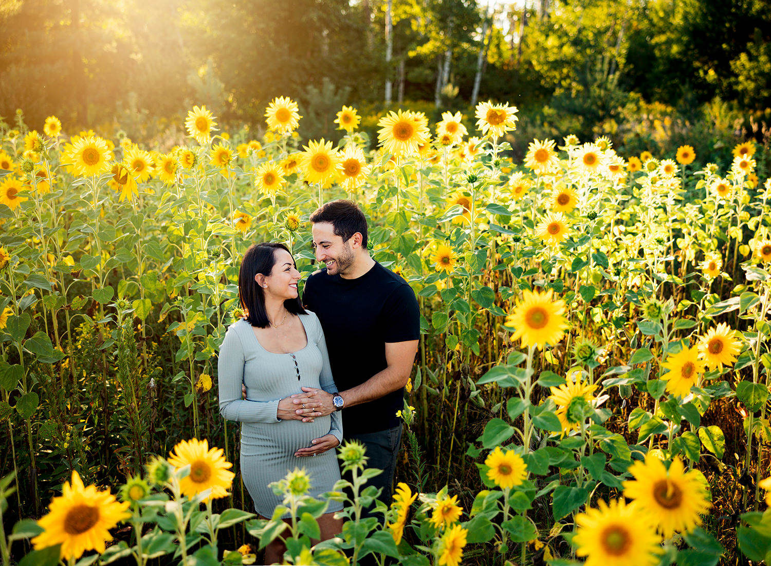 Sunflower maternity photos, Newmarket