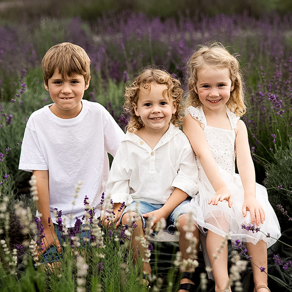 Lavender field mini session photographer