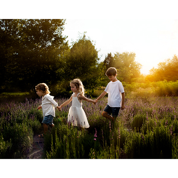 3 children walking through lavender field at sunset, captured by York Region photographer Kelly Rawlinson