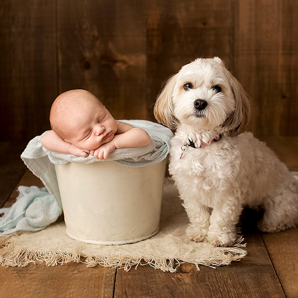 newmarket-newborn-photography08