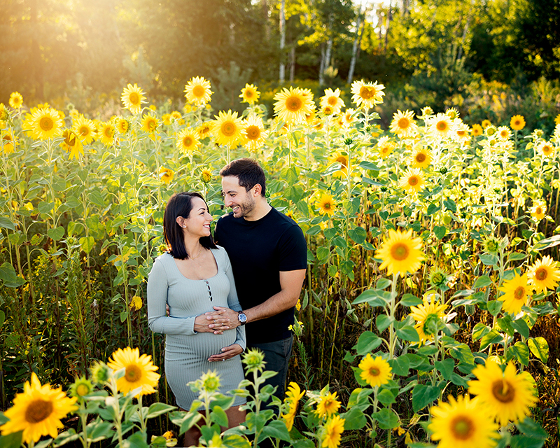 Pregnancy photos in sunflowers