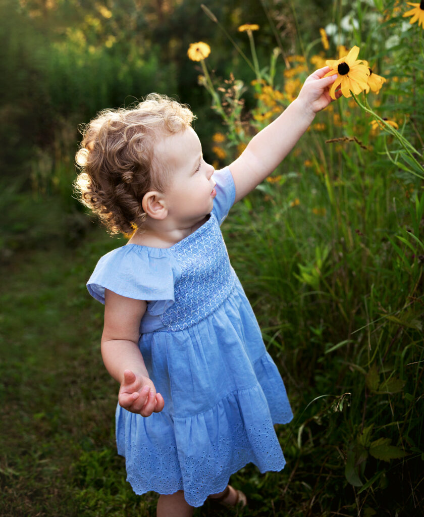 Evening photo session at the flower farm, young girl reaches for flowers